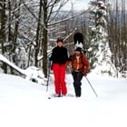 Skitourengehen, Schneeschuhgehen, Skifahren Bayerischer Wald